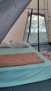 士兆Villa Uda @ SIBLINGS Cottage的帐篷内的一张床位,设有两个窗户