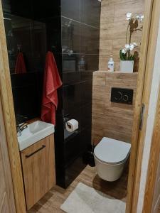 拉伊恰Domek u Sołtyska的浴室配有卫生间、盥洗盆和淋浴。