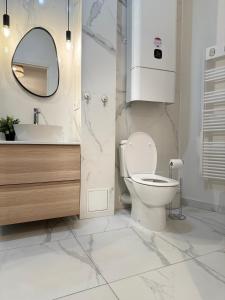 尼斯Sunshine Getaway - Stylish Studio in the Heart of Nice的一间带卫生间、水槽和镜子的浴室