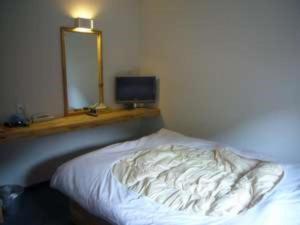 津和野町Business Hotel Tsuwano的一间卧室配有一张带镜子的床和一台电视