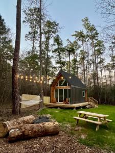 蒙哥马利Stay in Babia - Luxury Cabins - Sam Houston National Forest的树林中的一个小小屋,配有野餐桌