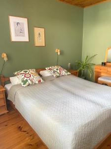 塔林Cozy home in Tallinn的一间卧室配有一张大床和两个枕头