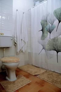 贝宁城AJ HOMES的带淋浴帘和卫生间的浴室