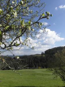 圣卡瑟林阿哈Pircherhof - Urlaub und Erholung im Troadkost'n的绿地,前方有树