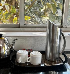 奥利姆Easy Living Guesthouse的茶壶和窗边的2杯茶柜