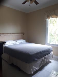 拿骚Coral Harbour Beach Apartment的一间卧室配有一张大床和吊扇