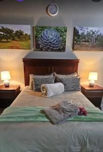 MkuzeUmkhaya Lodge的一间卧室配有一张带两盏灯的床,墙上挂有绘画作品