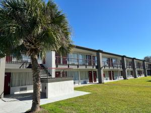 怀尔德伍德Red Roof Inn Wildwood, FL - The Villages的一座建筑前的棕榈树