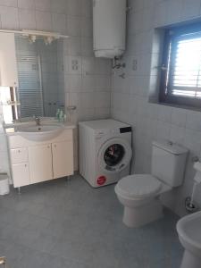 普拉Apartment Marija的一间带洗衣机、卫生间和水槽的浴室