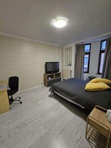 布鲁塞尔Beautiful, renovated fully self contained room的一间卧室配有一张床和一台平面电视