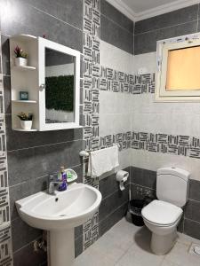 开罗Joe Excellence Residence的一间带水槽和卫生间的浴室