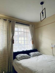内罗毕SOMI'S Suites的窗户前的一张带两个枕头的床