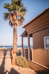 圣特罗佩金羊毛酒店的海滩旁的一座建筑和一棵棕榈树