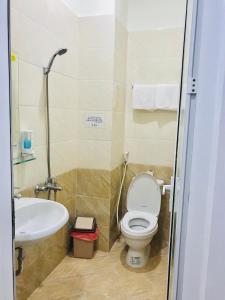 岘港DanaBeach Motel的一间带卫生间和水槽的浴室