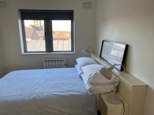 恩尼斯科西2 Bedroom apartment Park Lodge的一间卧室设有一张床、电视和窗户