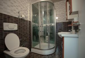 普里什蒂纳Hotel Denis的带淋浴、卫生间和盥洗盆的浴室