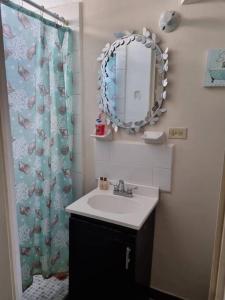 Ciudad AcuñaCasa Amistad的浴室设有水槽、镜子和浴帘