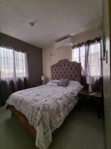 Ciudad AcuñaCasa Amistad的一间卧室设有一张大床和两个窗户。