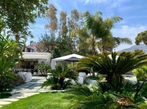 伊斯基亚瑞拉斯科尔特德利阿拉贡内斯酒店的一座种有棕榈树的花园