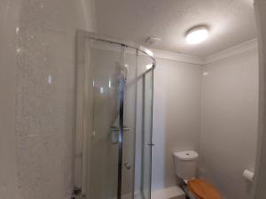 桑当奇诺风景酒店的浴室设有玻璃淋浴间和卫生间