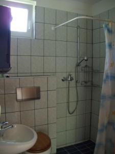 赫维兹Ferienhaus Hartmann的带淋浴、卫生间和盥洗盆的浴室