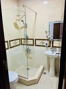 库塔伊西Georgian Palace Hotel的带淋浴、卫生间和盥洗盆的浴室