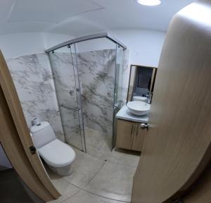 卡拉尔卡Hotel Plaza Paris的浴室配有卫生间、淋浴和盥洗盆。