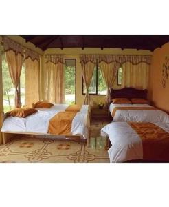 巴尼奥斯Orquideas Runtun的一间带三张床的卧室,配有窗户