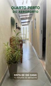 瓜鲁柳斯Hostel Quartos com banheiro individual perto do Aeroporto的走廊上种植植物的建筑物的走廊