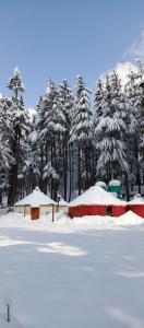 KalāmThe Glamping Spot Kalam的一片雪覆盖的田野,满是房屋和树木