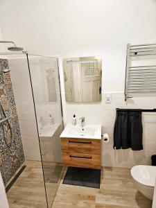 莱格尼察Justinrent 2的一间带水槽和淋浴的浴室