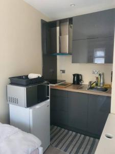 PhibblestownPrivate Ensuite Room with Kitchenette的一间带水槽和冰箱的小厨房