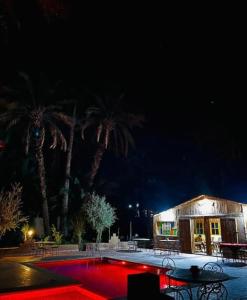 扎古拉Camping auberge palmeraie d'amezrou的一座棕榈树建筑,晚上还有一座游泳池