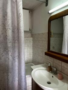 卡尔派尼西翁Petrameli的一间带水槽和淋浴帘的浴室