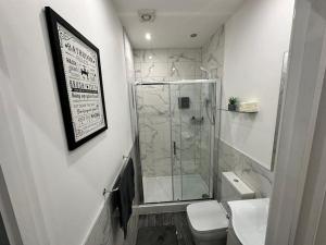 Beeston HillLuxurious 2 bedroom flat的一间带玻璃淋浴和卫生间的浴室