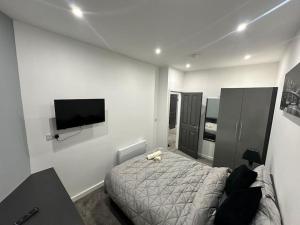 Beeston HillLuxurious 2 bedroom flat的一间卧室配有一张床和一台平面电视