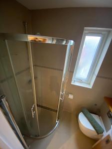 BansteadStudio apartment near Sutton, Croydon的带淋浴的浴室、卫生间和窗户。