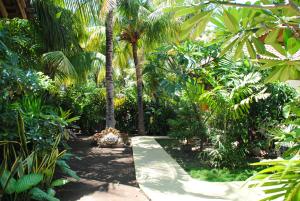 佩母德兰库布纱丽住宿加早餐旅馆的一条穿过棕榈树热带花园的小路