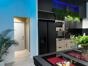 卡宴Chambre Musa的厨房配有黑色冰箱和一些植物
