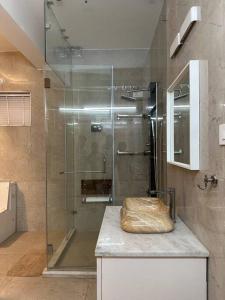 海得拉巴Luxurious Independent villa in Gachibowli的带淋浴的浴室和玻璃门