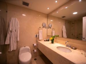 卡塔赫纳拉斯美洲卡萨德普拉亚酒店的一间带水槽、卫生间和镜子的浴室