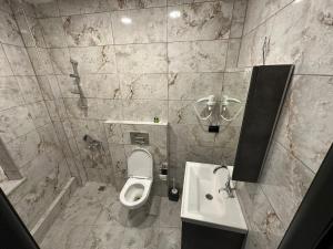 伊斯坦布尔Lucca Suites Hotel的一间带卫生间和水槽的浴室