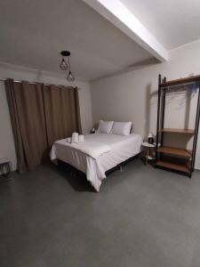 戈亚斯州上帕莱索TEMPO FLATS E HOSPEDAGEM的卧室配有一张带白色床单和枕头的大床。