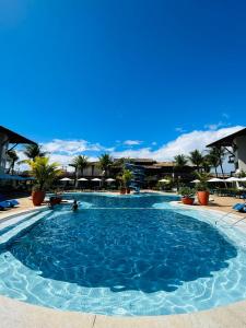 伊列乌斯艾迪亚达普拉亚酒店的一座棕榈树环绕的大型游泳池