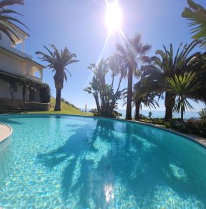 拉戈斯Villa Esmeralda的一座棕榈树环绕的大型游泳池