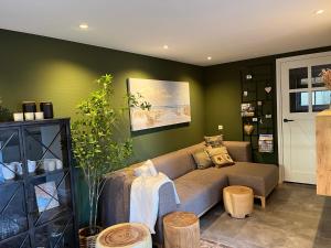 BaaiduinenIt Bûthús的带沙发和绿色墙壁的客厅