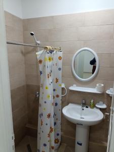 凯鲁万IMMEUBLE BRINI的浴室配有淋浴帘和盥洗盆。