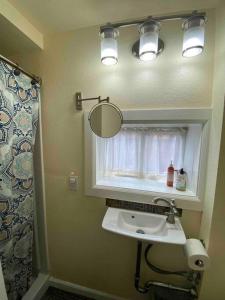 米苏拉Zootown Bungalow的一间带水槽和镜子的浴室以及窗户。
