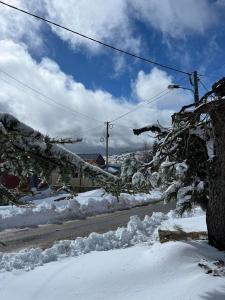 佩尼亚什达绍迪Casa dos Pinheiros - Serra da Estrela的一条雪覆盖的街道,街道灯