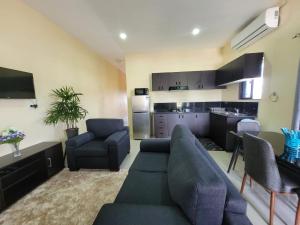 南迪Singhs elite apartment的带沙发和椅子的客厅以及厨房。
